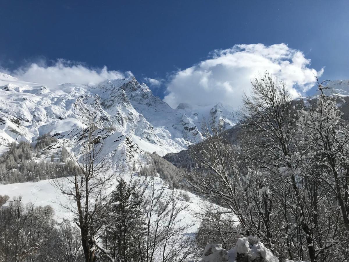 Hotel Des Alpes - Skiers & Bikers Lodge لا غراف المظهر الخارجي الصورة