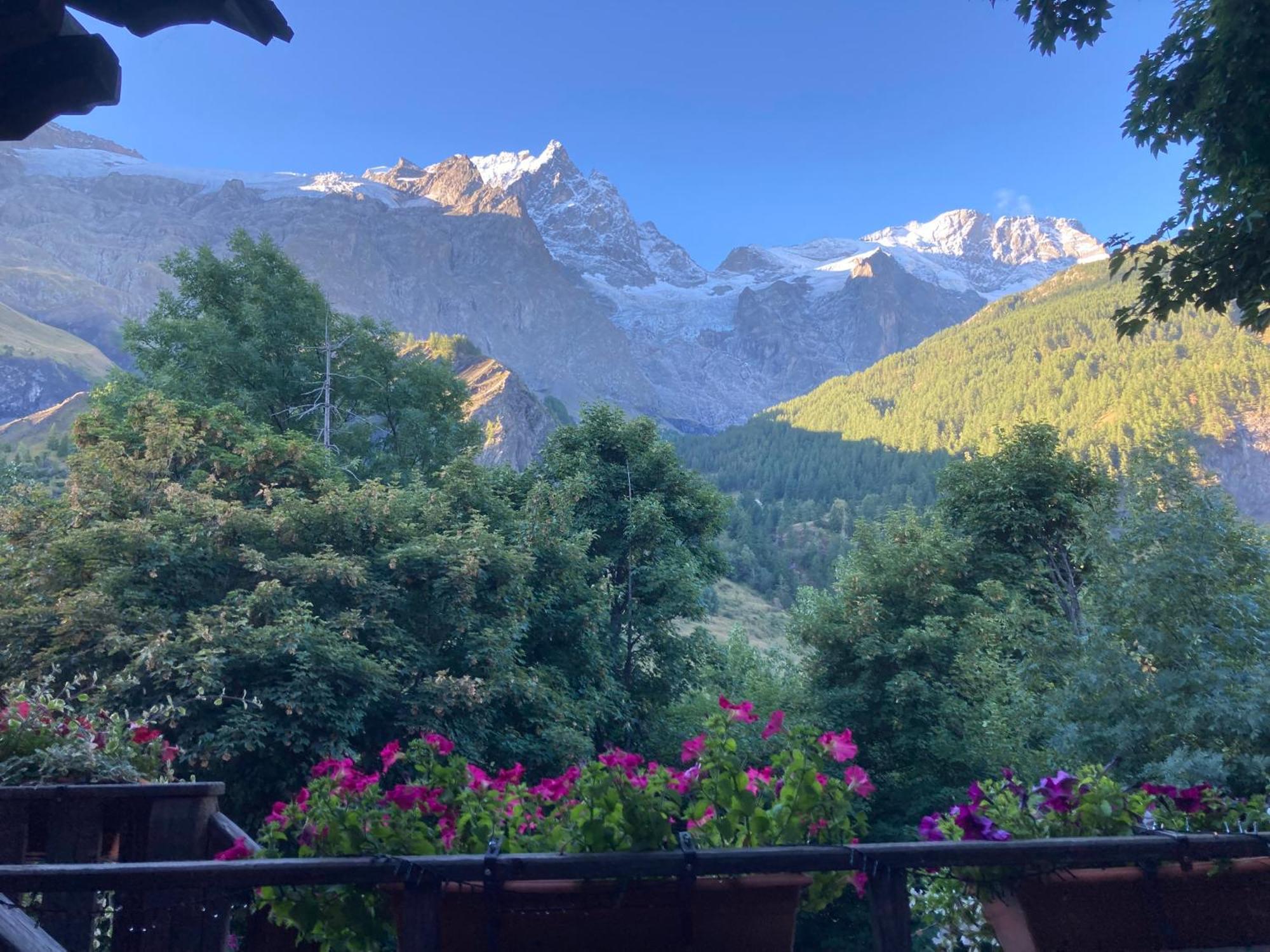Hotel Des Alpes - Skiers & Bikers Lodge لا غراف المظهر الخارجي الصورة